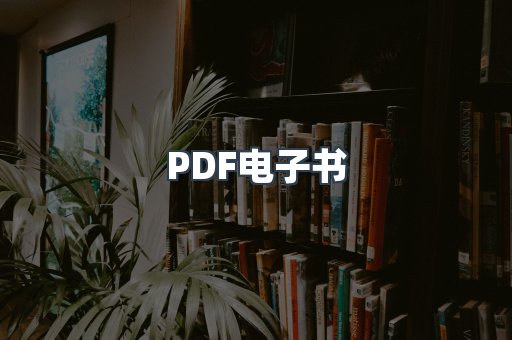 PDF电子书